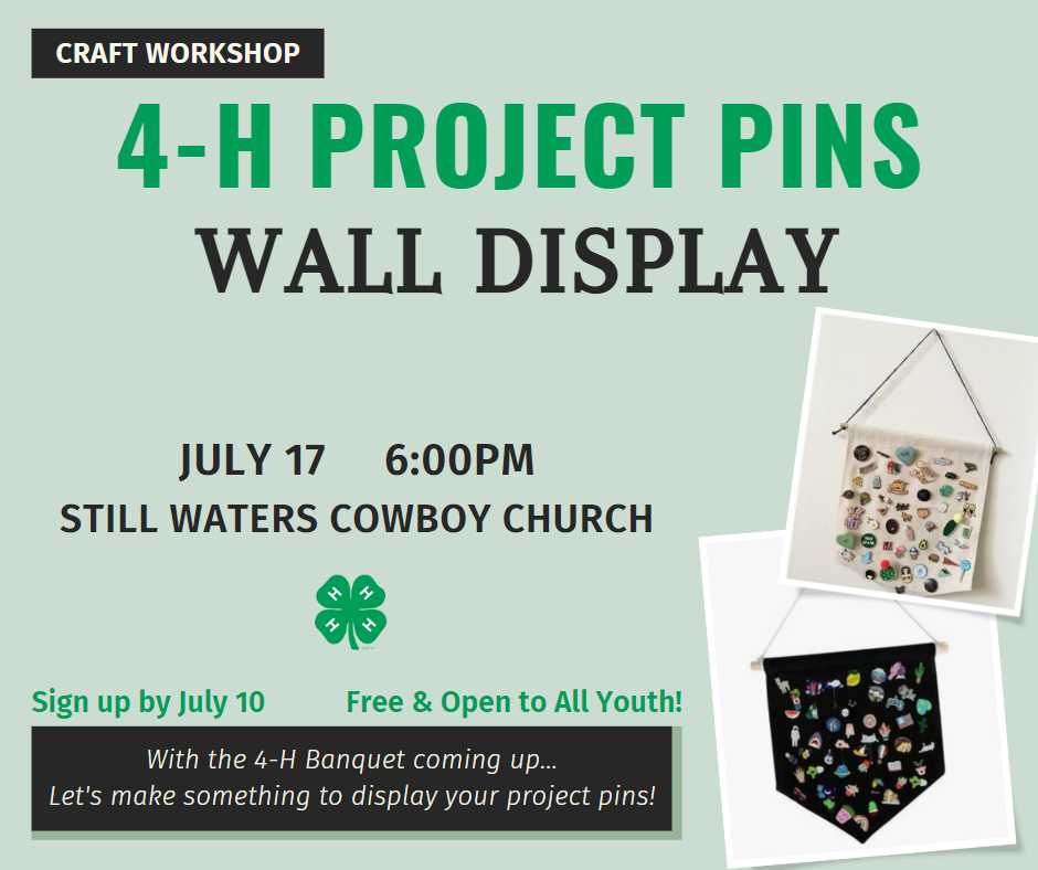 Pin on 4H projects